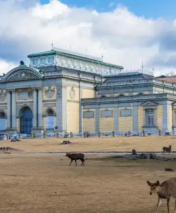 โรงแรมใกล้พิพิธภัณฑ์แห่งชาตินารา