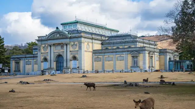 Hotels near Nara National Museum