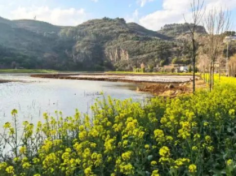 Popular Spring Outings in Yiliang