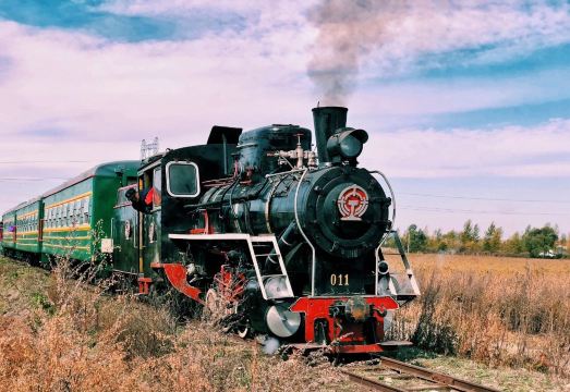 Centennial Steam Train