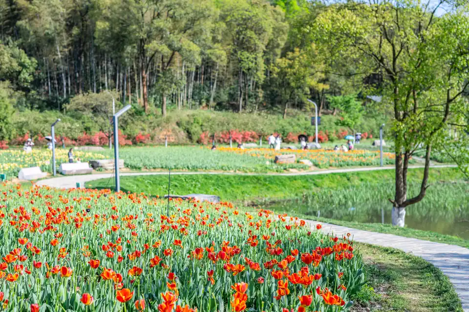 2_Changsha Landscape and Ecology Garden