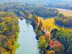 Yancheng Ruins Park