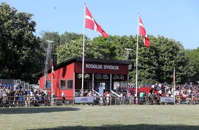 Roskilde Animal scene