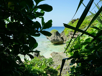 西表島の星砂の浜で星砂探し 大自然の西表島 石垣港 Trip Com 西表島の旅のブログ