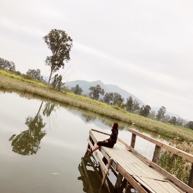 /周未拍拖好去處🏞南生圍/
