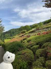 クマ散歩:あいかわ公園に品行方正なクマ