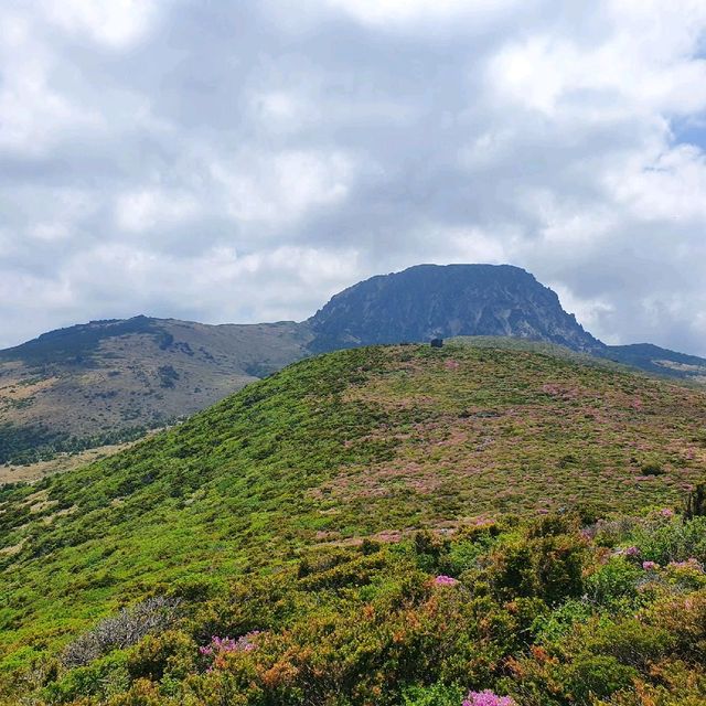 제즈도 한라산 영실코스
