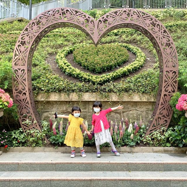 #免費入場 #觀鳥園 #百花齊放 #親子好去處