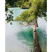 Sempu Island Nature Reserve