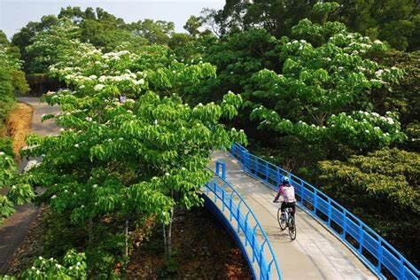 Tongluo Skywalk