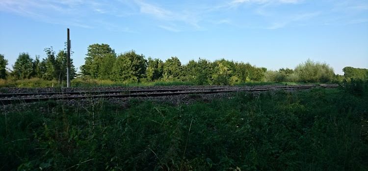 Les bords de Vesle
