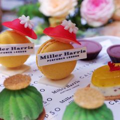 Calypso Restaurant & Lounge User Photo