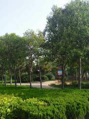 Garden Once Visited by Ouyang Xiu