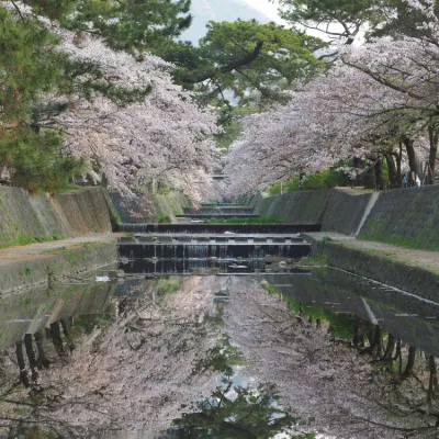 Daiwa Roynet Hotel Akita