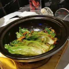 Transformer Fitzroy張用戶圖片