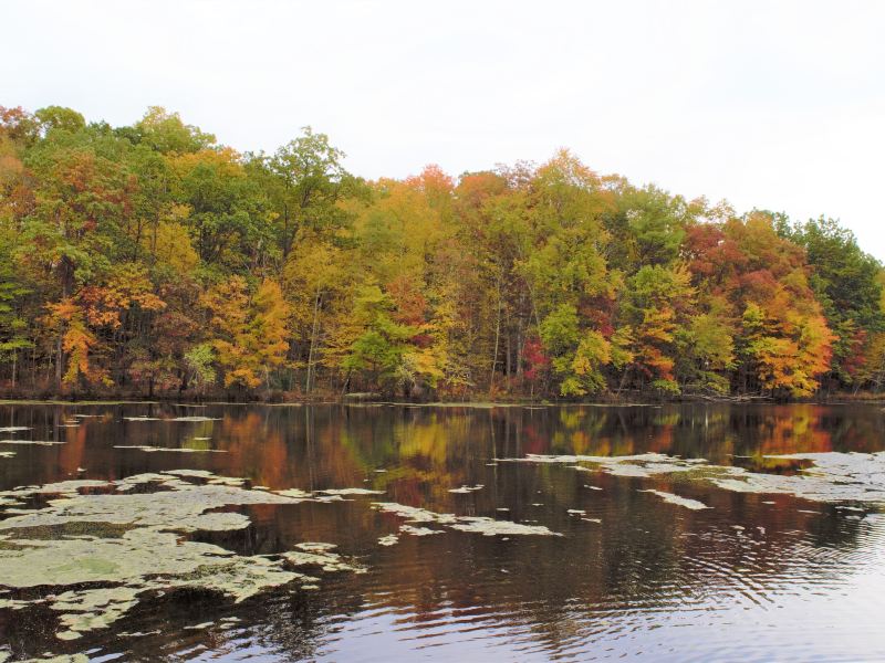 Stone Mountain Park