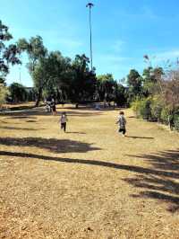 [ 親子好去處] 有一個公園龍鳳寶寶已經去咗四百次! 