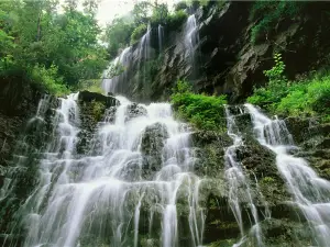 Popular Water Fun Attractions in Yangcheng
