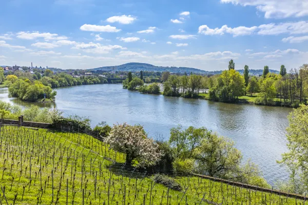 Vuelos Saarbrücken Goa