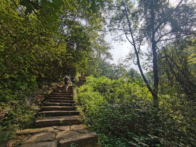 일선천