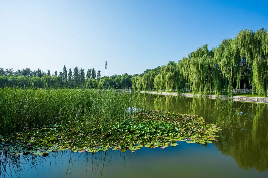 Xinghai Park (North Gate)