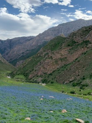 Dalijia Mountain