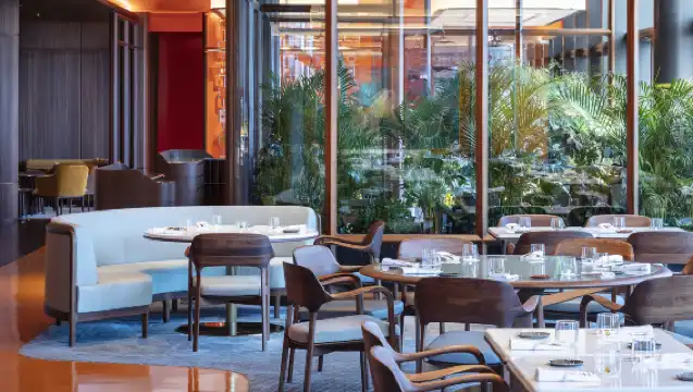 澳門新濠天地【風雅廚】精選單人午市套餐