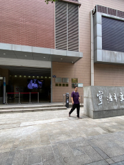Ningboshi Feiwuzhi Wenhua Yichan Baohu Center