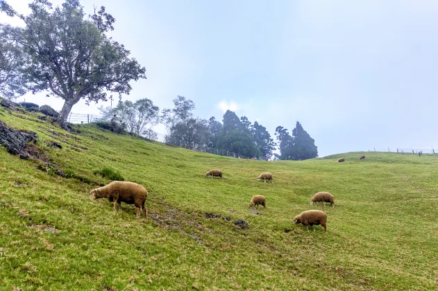 2-Star Hotels in Nantou