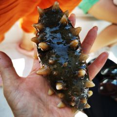 TIANTIAN SEAFOODS User Photo