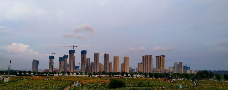 Jinghe Flower Sea