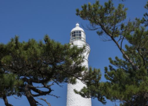 從隱岐之島町直飛出雲航班