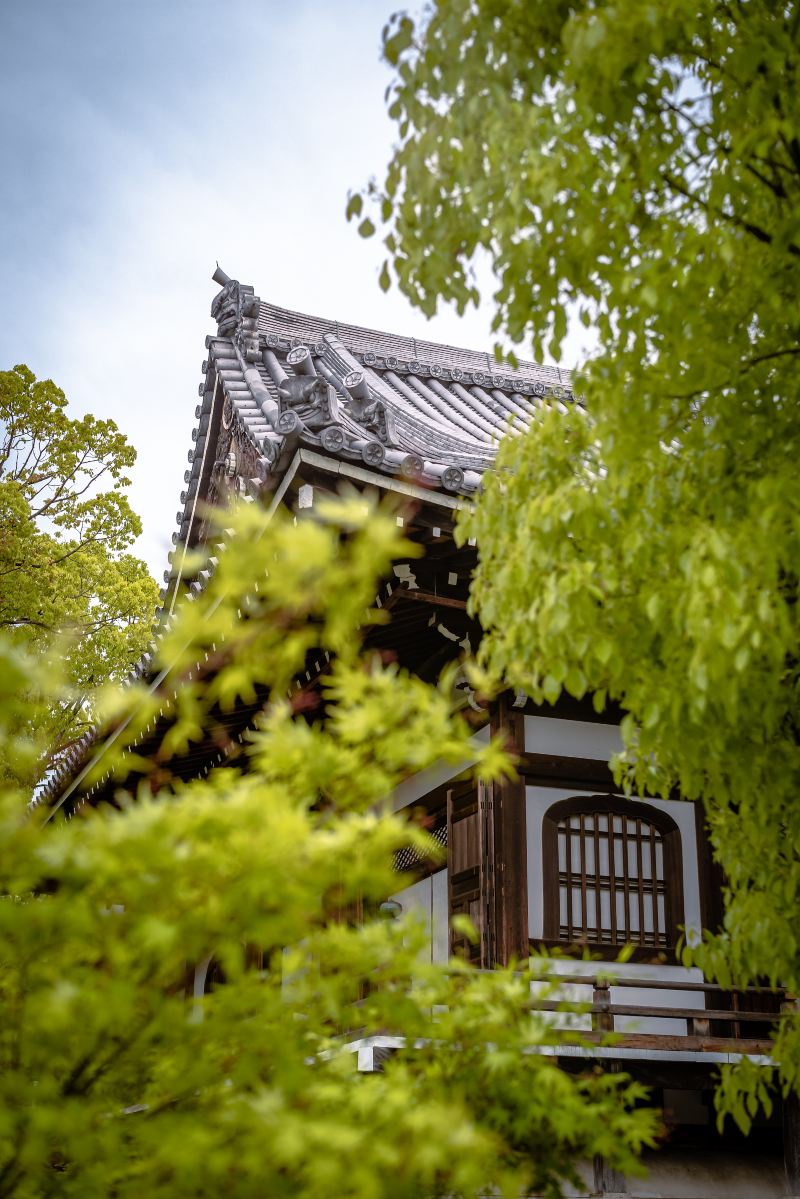 総本山 智積院