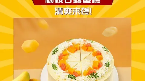 维尔纳斯·生日蛋糕动物奶油冰淇淋蛋糕(三河店) in 三河
