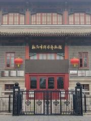 XinXiangShi QunZhong YiShuGuan