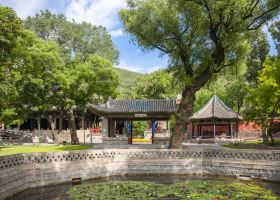 新加坡中山公園戴斯酒店 (SG Clean) 評價