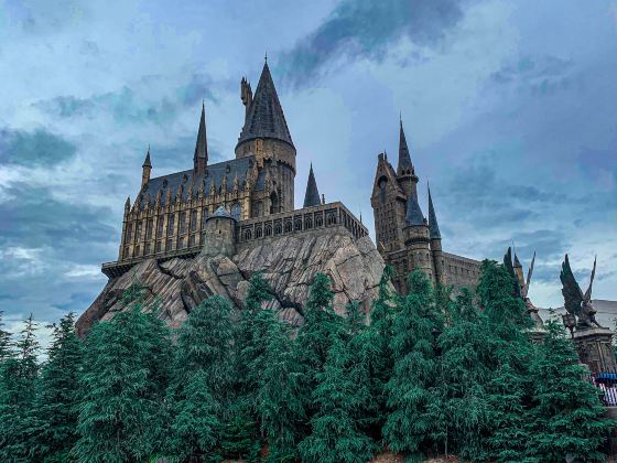 The Wizarding World Of Harry Potter