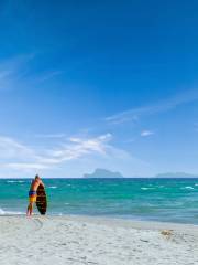 Wave Rider Surfing Experience in Boracay