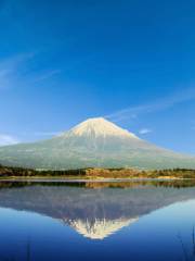 Lake Tanuki