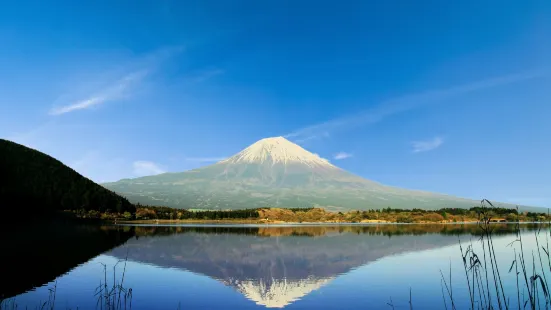 Lake Tanuki