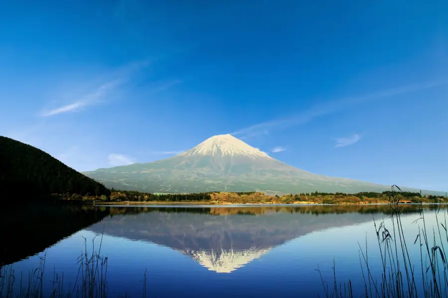 Lake Tanuki