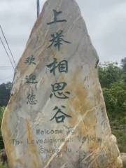 Hakka Acacia Valley, Shangju