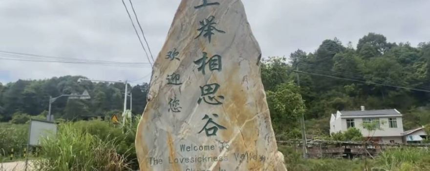 Hakka Acacia Valley, Shangju
