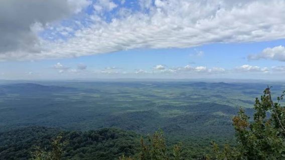 Shuangzishan Yuanshi Forest Park