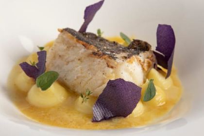 Paspalum By Riva Toscana