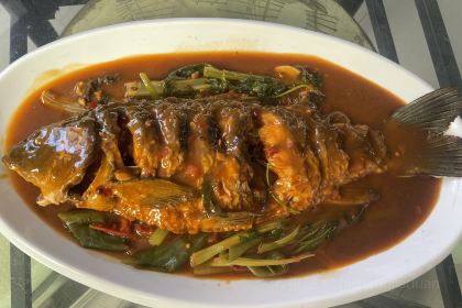 中卫百顺王精品民宿·农家餐厅