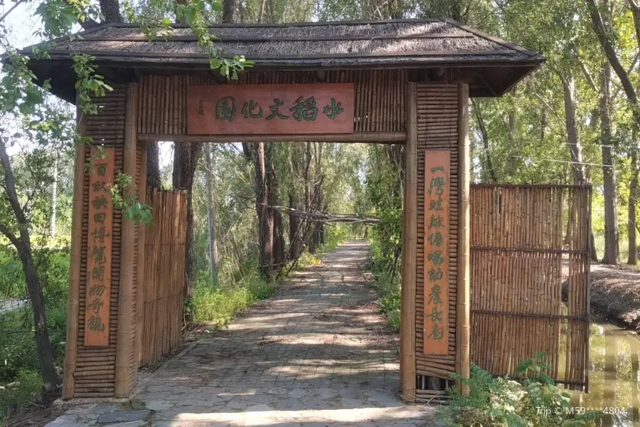 水稻文化園