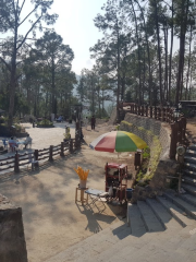 Shimla Pahari Park