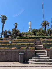 Terraza Bellavista