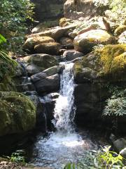 Sapan Waterfall